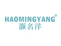 灏名洋HAOMINGYANG